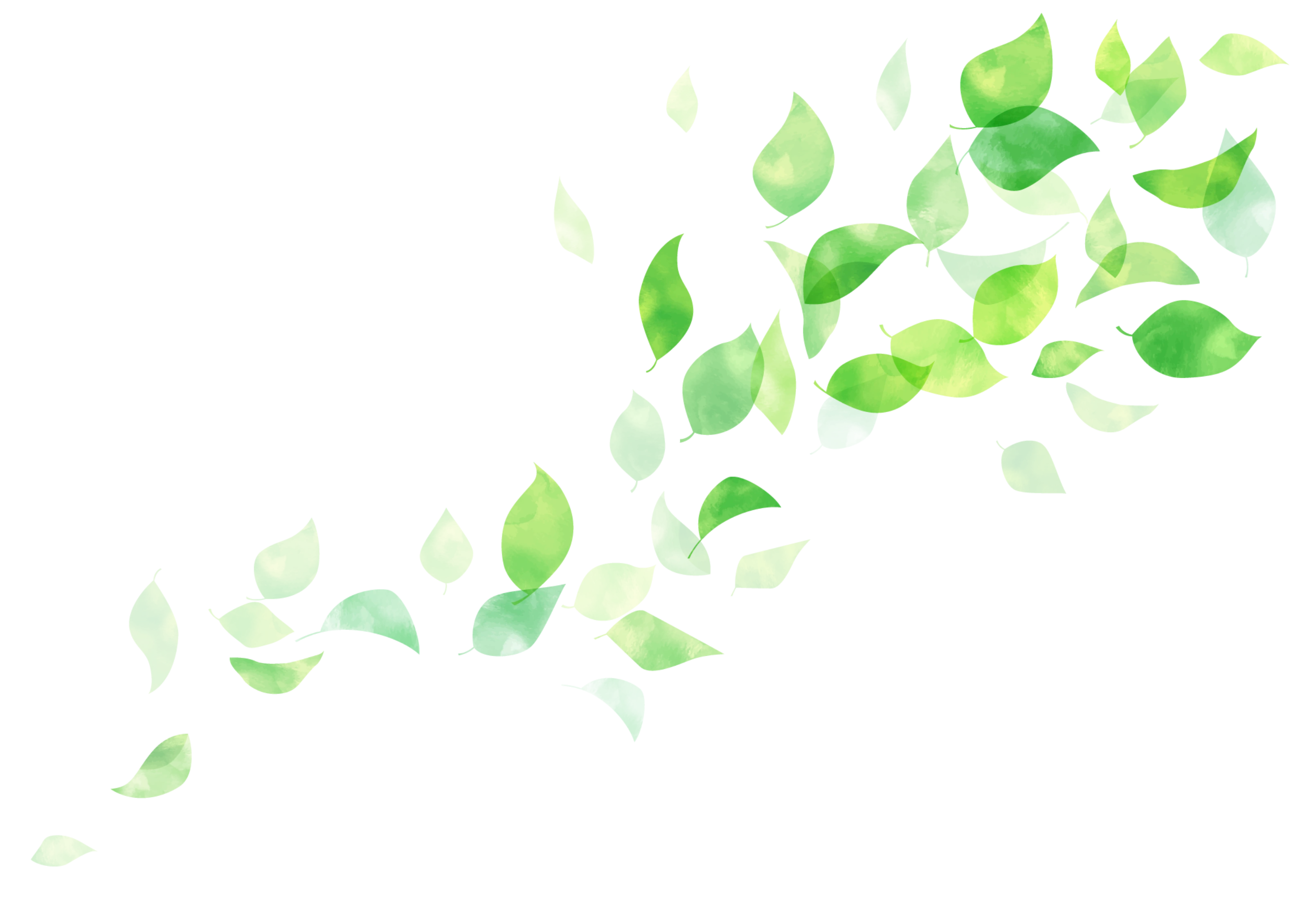 舞う緑の葉のイラスト